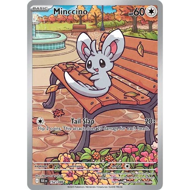 Minccino 152/086 Black Bolt Illustration Rare Pokémon Card NM English