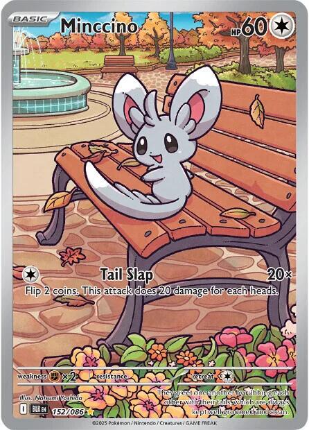 Minccino 152/086 Black Bolt Illustration Rare Pokémon Card NM English